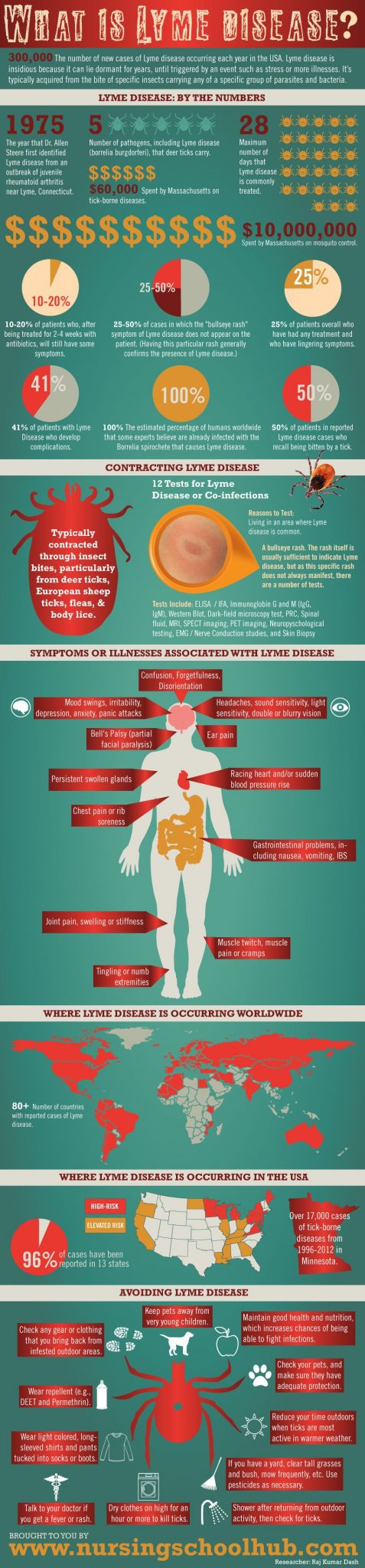 Lyme Disease: What Is It? infographic