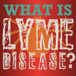 Lyme Disease: What Is It? - thumb