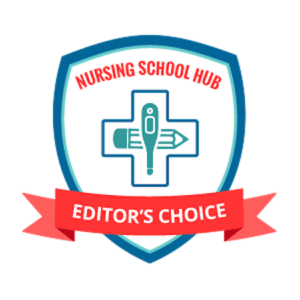 online-nursing-schools
