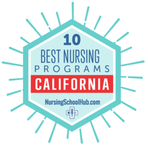 https://www.nursingschoolhub.com/wp-content/uploads/2020/01/nursing-school-hub-2-6-20-02-300x300.png